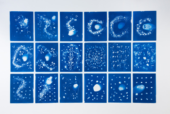 Out of the Blue, an installation of 18 cyanotypes. Susan Aldworth, 2020. Photograph by Colin Davison.